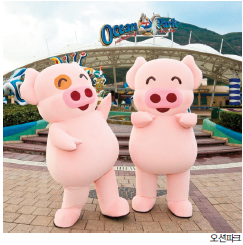 뉴스 사진